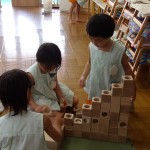 KODAK Digital Still Camera