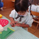 KODAK Digital Still Camera